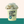 Load image into Gallery viewer, Lemon Mint Sorbet
